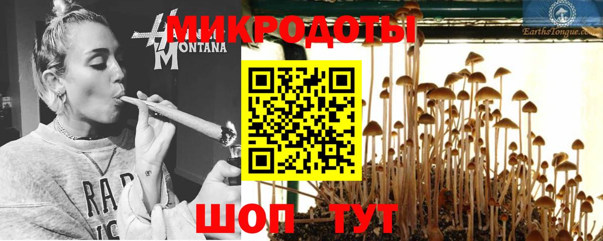 Надым  Псилоцибиновые грибы GOLDEN TEACHER  Вход с VPN 